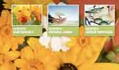 Gardening company