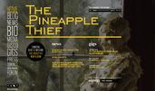 The Pineapple Thief