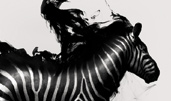 Image The Music