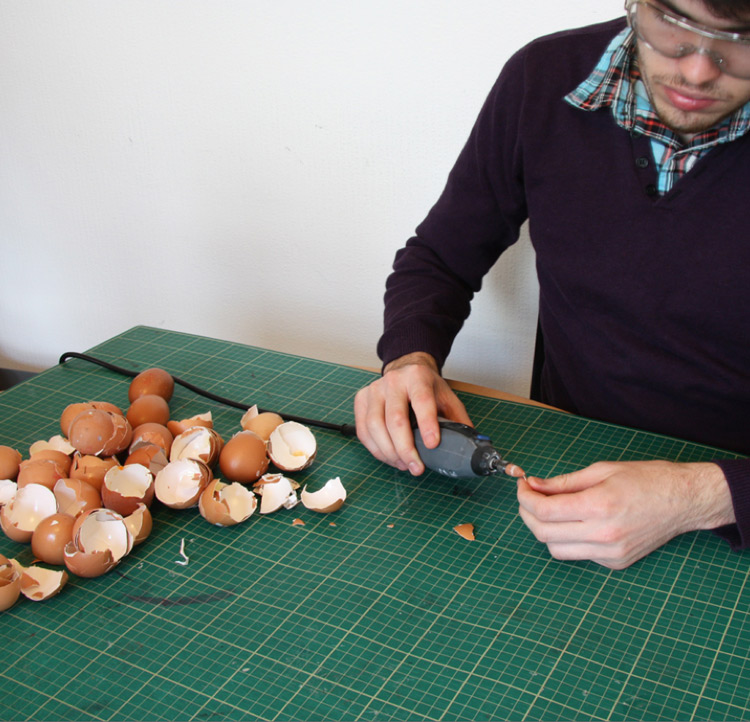 Chicken made from eggshells
