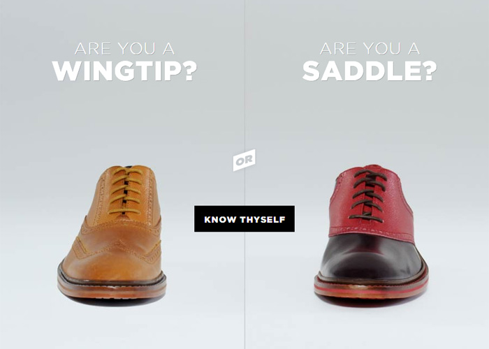 Wingtip or Saddle?