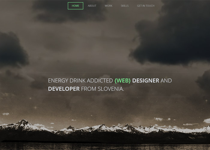 Admir Hadzic Portfolio