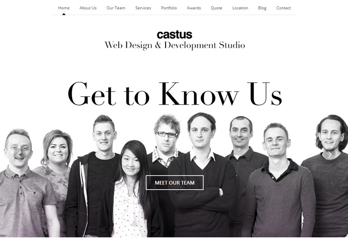 Castus Web Design & Development