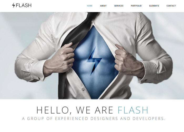 Flash - Responsive One Page