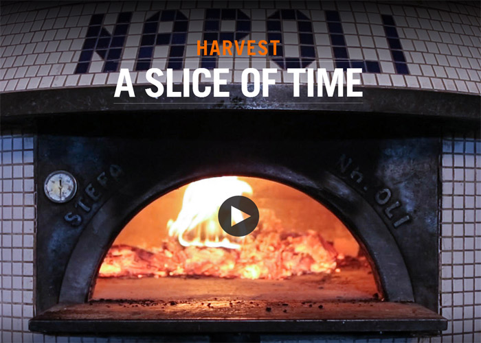 Crafting a Slice of Time