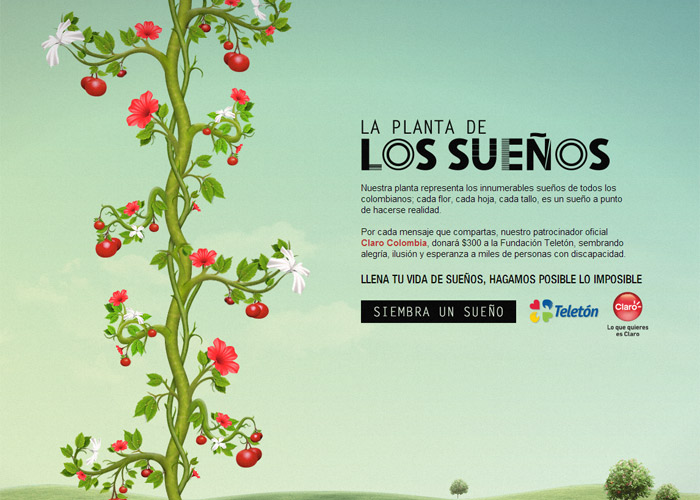 The plant of the dreams