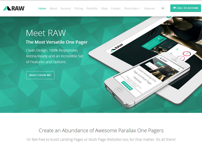 RAW - One Page WordPress Theme