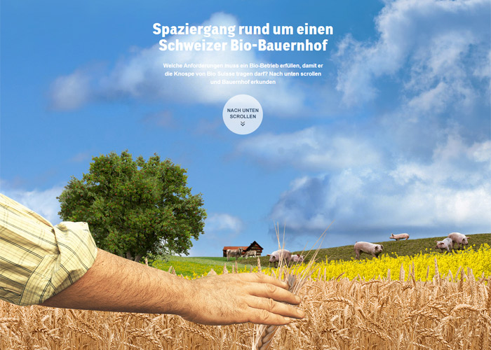 Swiss Organic Farm