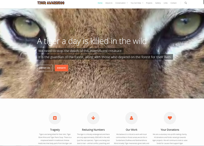 Tiger Awareness