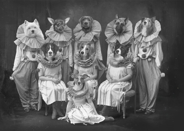Bark to work