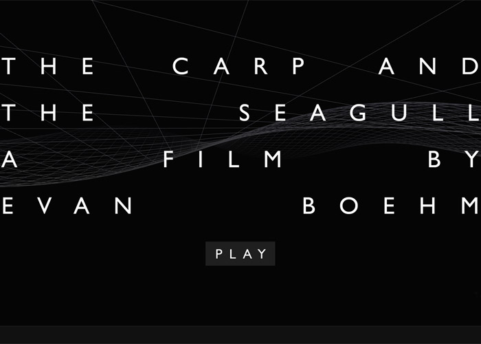The Carp And The Seagull