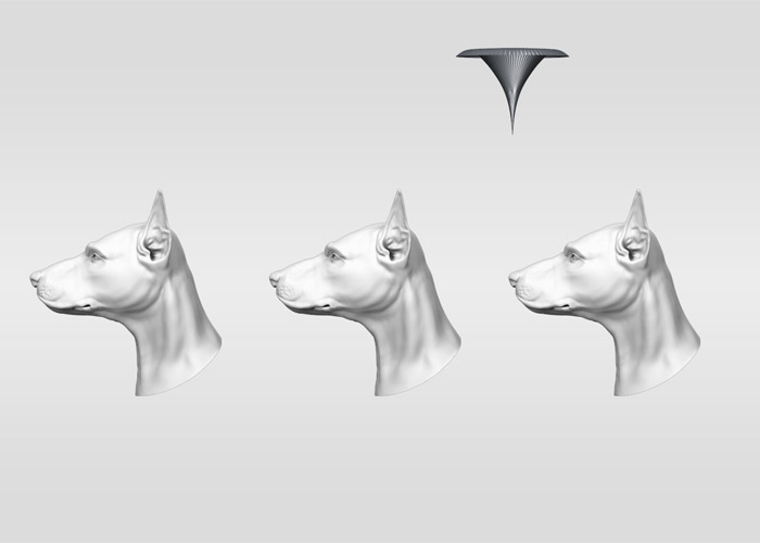 DigDog
