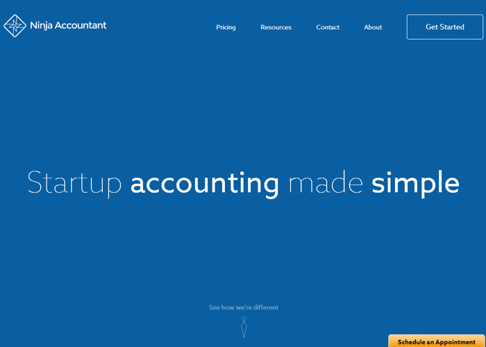 Ninja Accountant