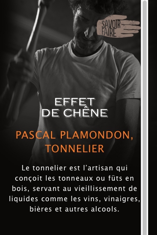 Savoir-Faire Pascal Plamondon