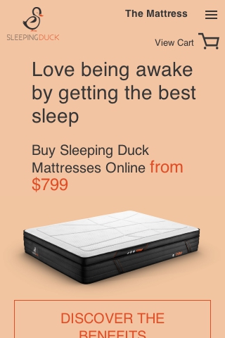 Sleeping Duck