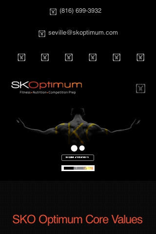 SKOptimum