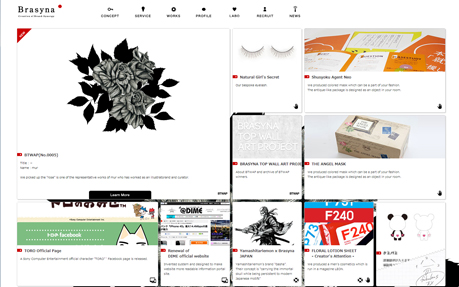 Brasyna,Inc. Official Site
