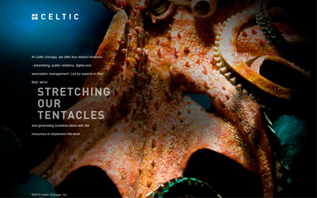 Stretching Our Tentacles
