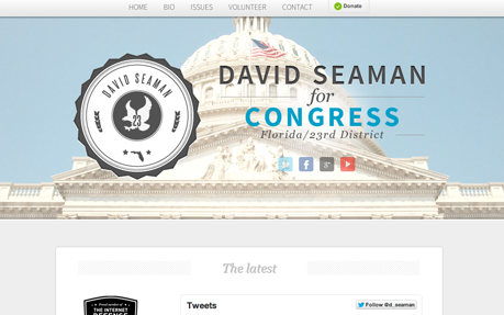 David Seaman for Congress