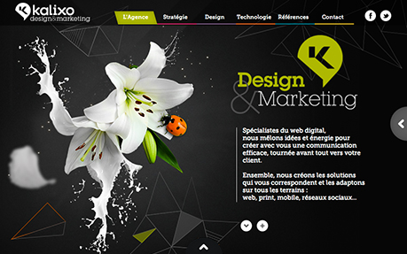 kalixo // Design & Marketing