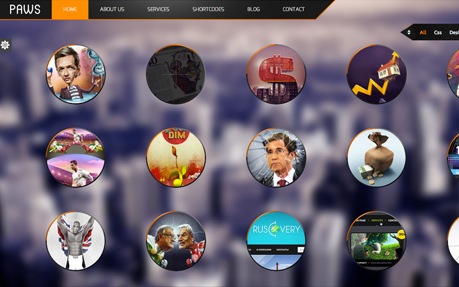 Paws - Portfolio WP Theme