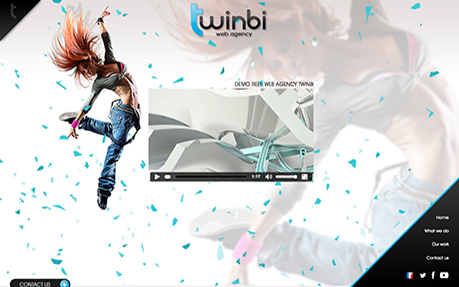 Web Agency Twinbi