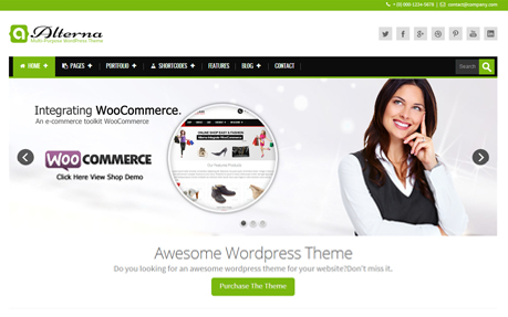 Alterna - Retina Responsive Multi-Purpose WordPress Theme