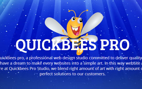 QuickBeesPro