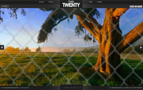The Twenty