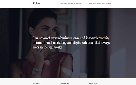 Voice