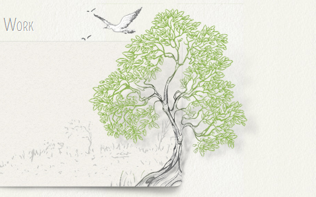 Mint Design Company - Japhia Olson