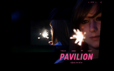 Pavilion Film Website