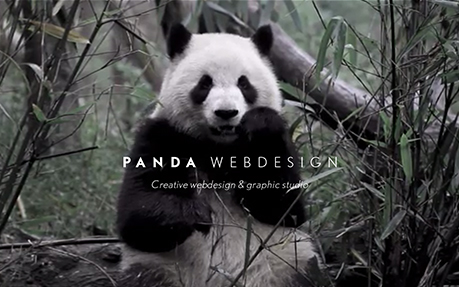 Panda Webdesign