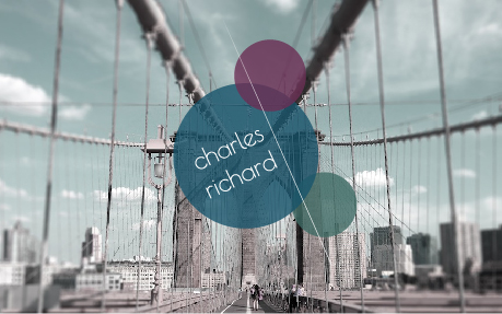 Charles RICHARD - My résumé