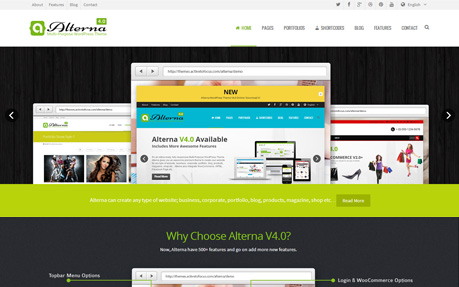Alterna 4.0 Multi-Purpose WordPress Theme