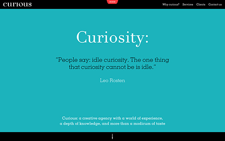 Curious Consultants