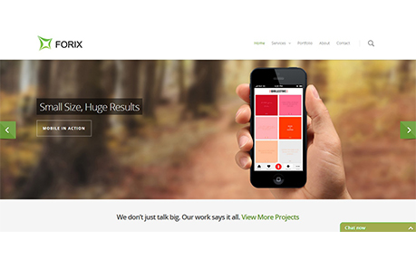 Forix Web Design