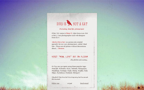 Bird is... Not a Cat