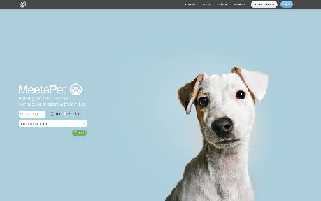 MeetaPet