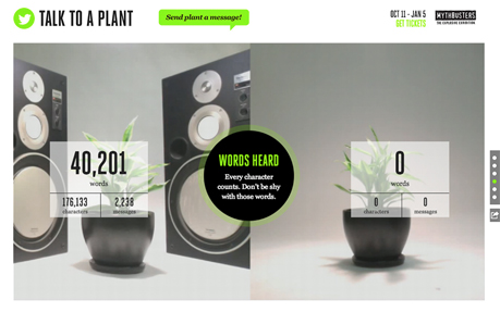 Talk to a Plant
