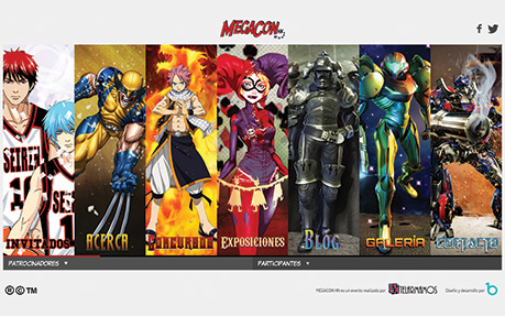 Megaconhn