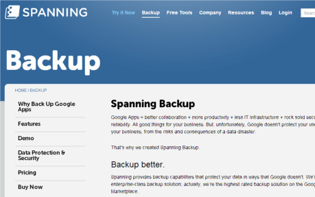 Spanning Backup