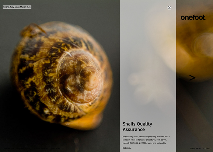 onefoot - snail farming