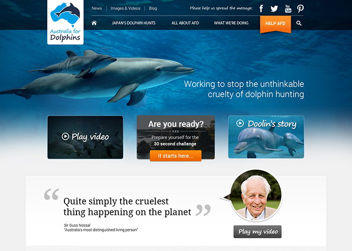 Australia for Dolphins