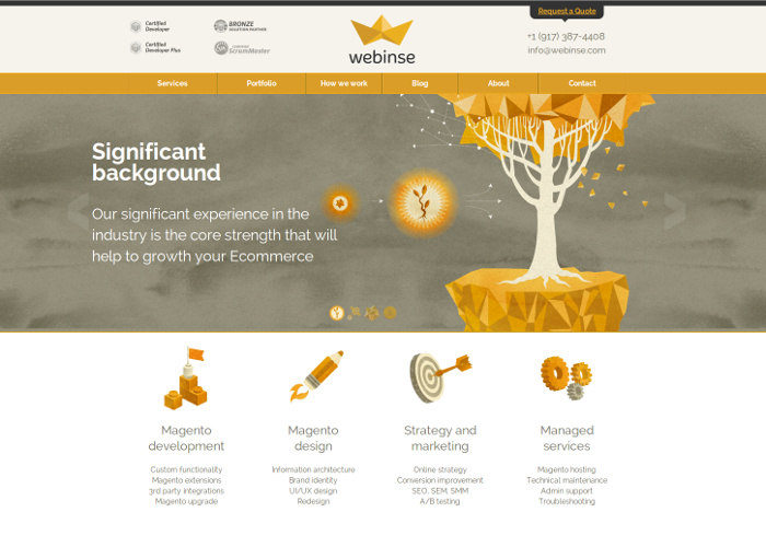 Webinse - Complete Ecommerce Solution