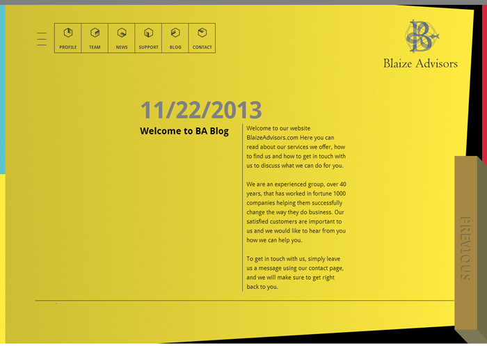 Blaize Advisors
