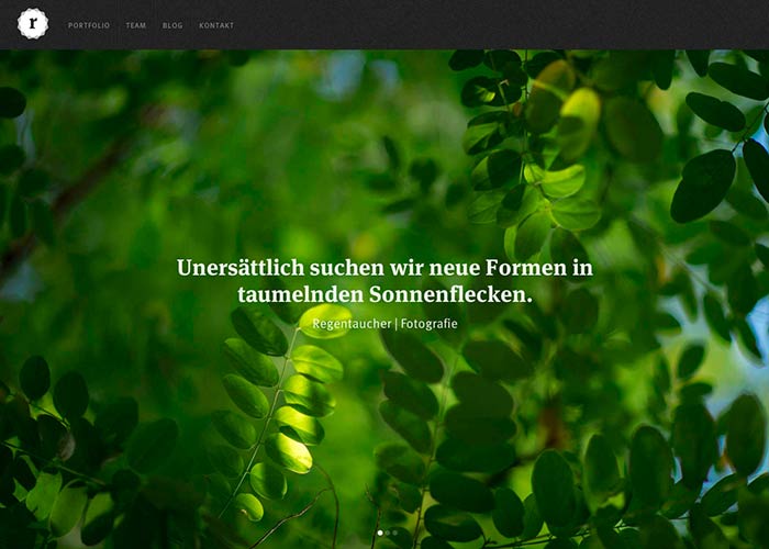 Regentaucher Photography