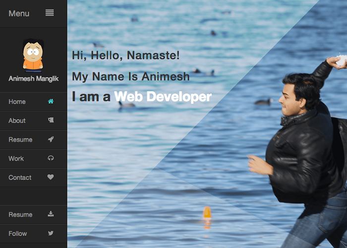 Animesh Manglik Portfolio