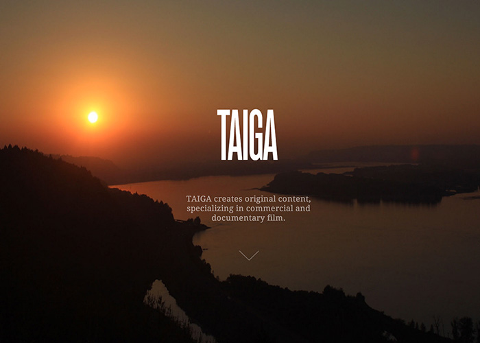 We Are TAIGA