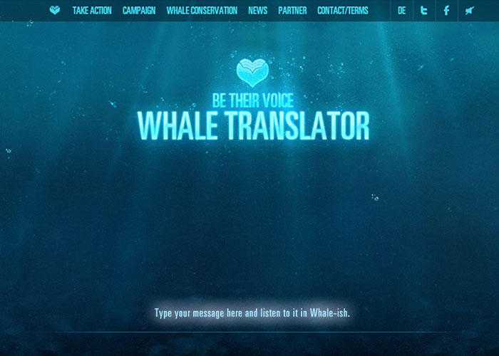 The Whale Translator